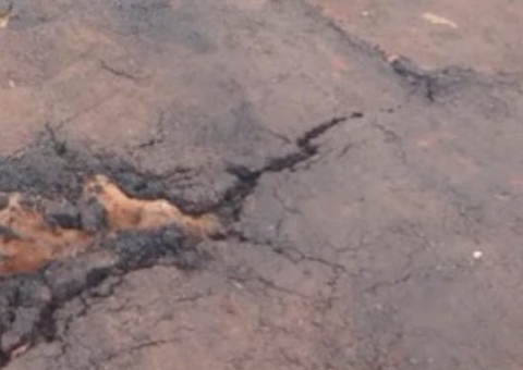 Buraco é asfaltado com cachorro dentro e revolta moradores