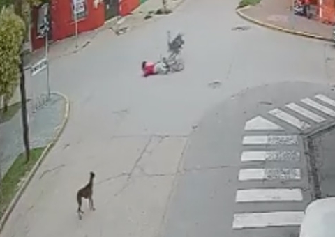 Ciclista é 'atropelado' por avestruz em alta velocidade; Vídeo impressiona