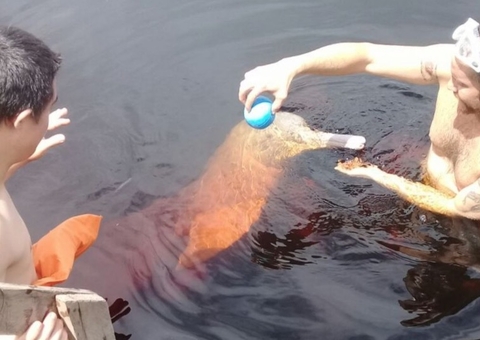 Projeto de Bototerapia precisa de apoiadores para ajudar crianças de abrigo em Manaus