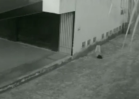 Desacordada, mulher é abandonada em rua e estuprada por homem; Vídeo 