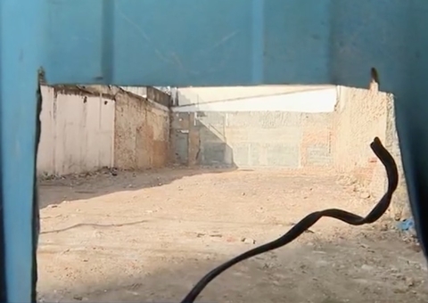 Criminosos criam estacionamento falso e roubam carros durante show do Maroon 5 em SP