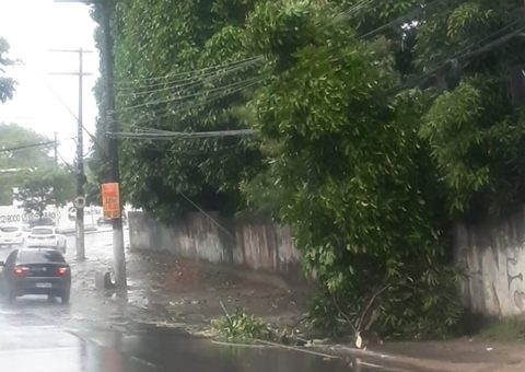 Fios de alta tensão caem e expõe pedestres a risco de choque em Manaus