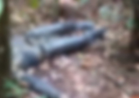 Corpo de desaparecido é encontrado em decomposição em ramal de Manaus; vídeo