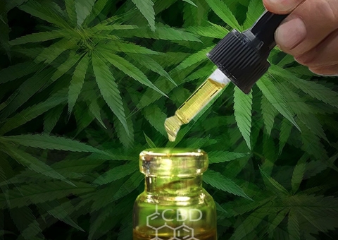 Justiça autoriza paciente a entrar no Brasil com 300g de maconha