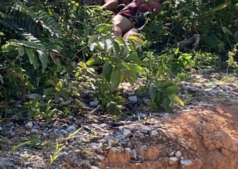 Com marca de tiro, corpo é encontrado em área de mata de Manaus