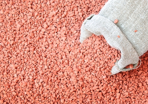 Projeto Potássio Autazes promoverá sustentabilidade e reflorestamento no interior do Amazonas