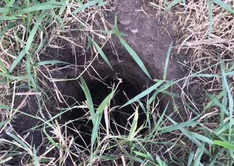 Bebê é encontrado vivo depois de passar dois dias dentro de buraco 