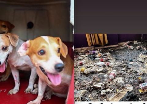 Mais 14 cachorros são resgatados de casa abandonada no Centro de Manaus