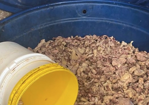 Charque e linguiça impróprios para consumo são apreendidos em Manaus