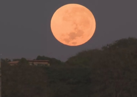 Superlua de Morango: Fenômeno ocorre nesta terça-feira 
