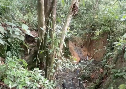 Corpo é encontrado seminu com os olhos vendados em área de mata em Manaus 