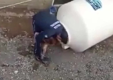 Criança de 3 anos é trancada em tanque pelos pais e motivo choca  