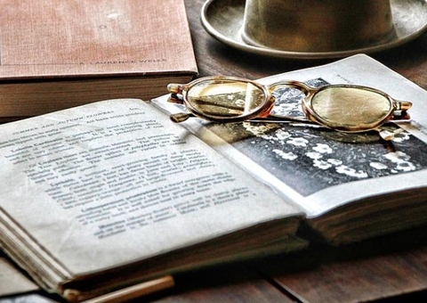 O valor do historiador e a leviandade de não ler a história