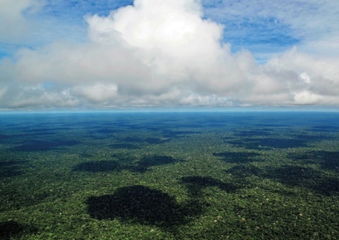Amazônia precisa de segurança e não de pânico