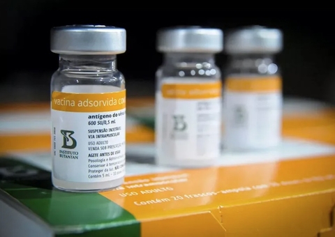 Anvisa vai decidir amanhã liberação da Coronavac para crianças de 3 a 5 anos