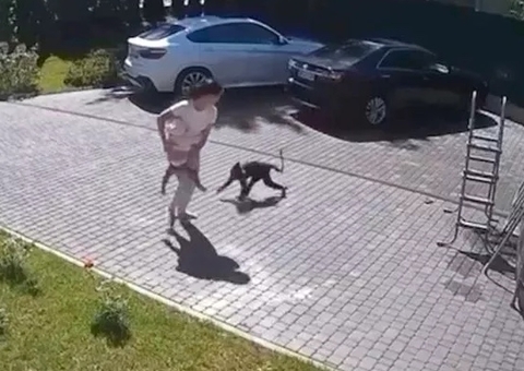 Macaco foge de zoológico, ataca menina e deixa criança em estado grave