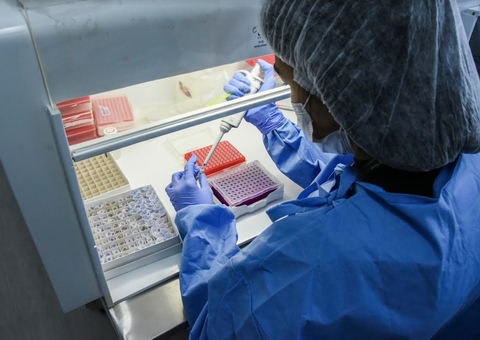 Vírus da varíola dos macacos é sequenciado pela primeira vez no Amazonas