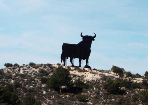 Idosa de 73 anos morre após levar chifrada no peito durante tourada