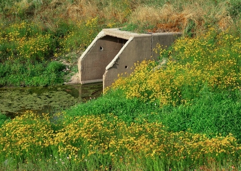 Mulher degolada é jogada dentro de tubulação de esgoto