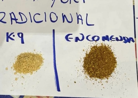 27 kg de cocaína são encontradas em pacotes de farofa e açaí nos Correios em Manaus