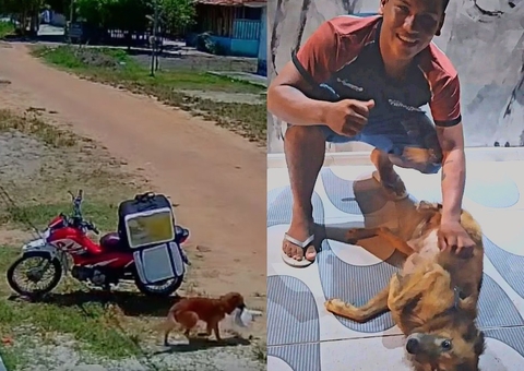 Vira-lata Caramelo dá 'olé' em entregador e viraliza ao roubar marmita; vídeo