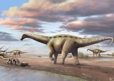 Dinossauro pescoçudo 'anão' é encontrado no interior de São Paulo