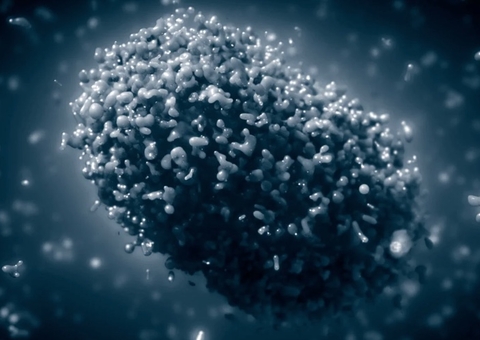 Amazonas tem 39 casos suspeitos de varíola dos macacos