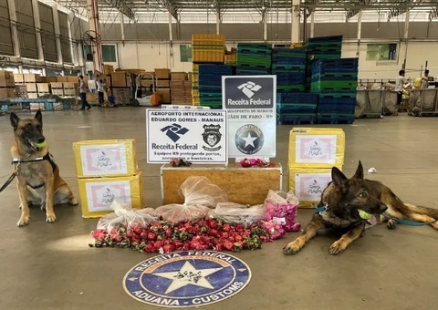 Receita apreende 15,25 kg de drogas escondidas em trufas de chocolate em Manaus