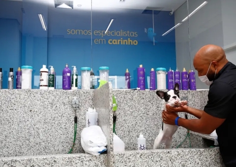 Pet Shop não precisa de inscrição em conselho se não exerce medicina veterinária