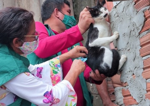 Manaus inicia Campanha de Vacinação Antirrábica 2022 nesta sexta-feira