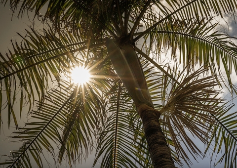 No final de semana, Manaus quebrou duas vezes o recorde de calor no ano