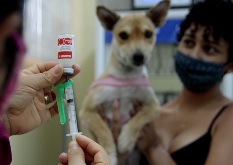 Manaus contabiliza mais de 5 mil atendimentos para controle da raiva humana