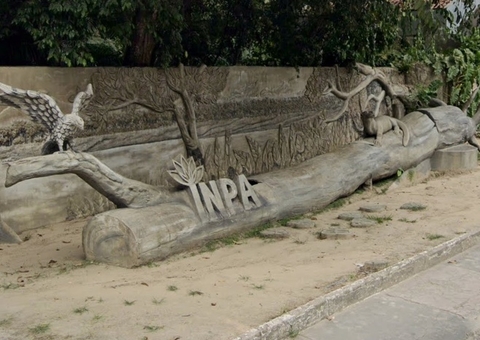 Inscrições para doutorado em ciências florestais pelo INPA encerram nesta sexta