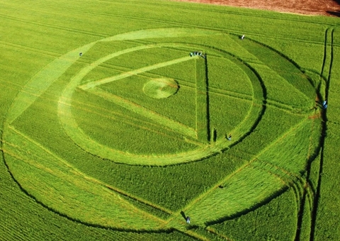 Plantação de trigo amanhece com figura misteriosa no Sul do Brasil