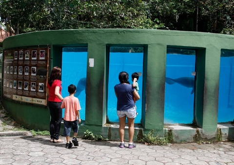 Veja horário de visitação ao Inpa, aberto nesta Semana das Crianças em Manaus