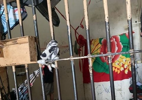 Presídio em situação precária pode ser interditado no Amazonas