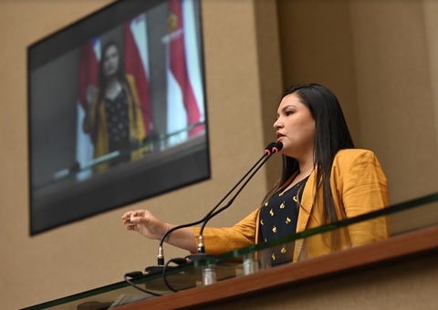 Joana Darc pede ajustes na lei que proíbe sacolas plásticas em Manaus