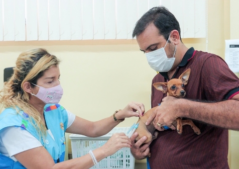 Centro de Zoonoses de Manaus vacinará animais no feriado prolongado
