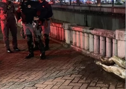 Bombeiros têm surpresa ao chegar para resgatar corpo de homem em córrego