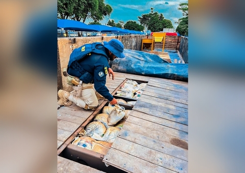 Cerca de 8 toneladas de cassiterita ilegal são apreendidas na BR-174