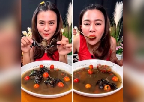Youtuber é presa após comer sopa de morcego