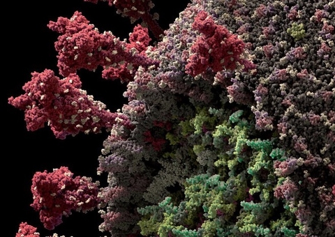 Nova variante surge no Amazonas e pode ser causa de aumento dos casos de Covid-19, diz Fiocruz