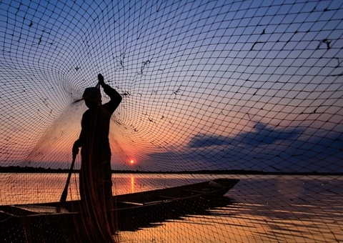 Período de defeso de espécies no Amazonas começa nesta terça-feira