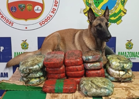 Cão policial encontra mais de 20 quilos de drogas em embarcação no Amazonas