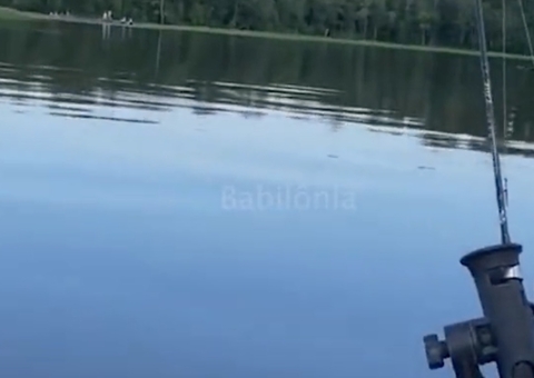 Criatura bizarra com garras gigantes assusta mãe e filha em pescaria; vídeo