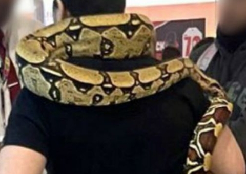 Homem é barrado ao tentar entrar com cobra em shopping e se revolta