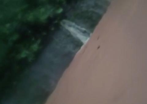 Vídeo mostra ônibus fugindo de deslizamento e passageiros em pânico