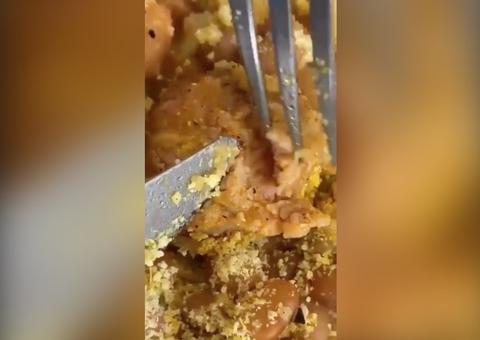 Estudantes encontram tapuru em comida da Ufam; vídeo