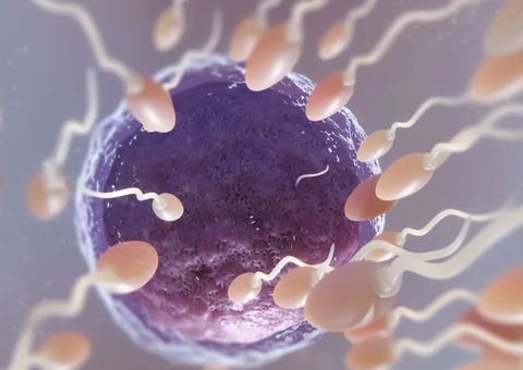 Gel vaginal em teste se mostra eficaz como método contraceptivo