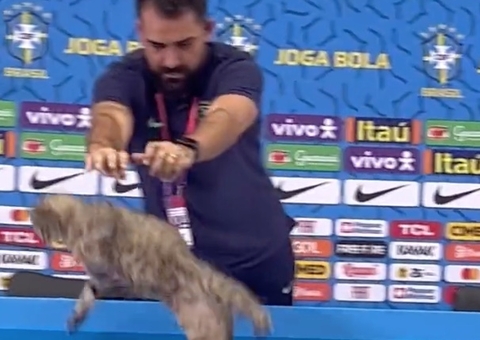 Vídeo: Assessor da CBF expulsa gato de mesa durante coletiva e divide opiniões